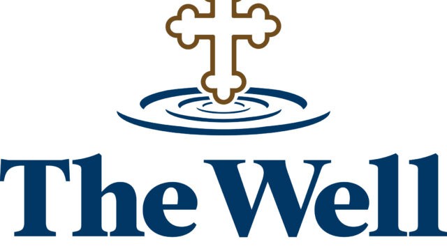 the well logo stacked 2 colors preferred hr